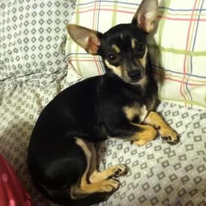 Meet your Posher, Jennifer